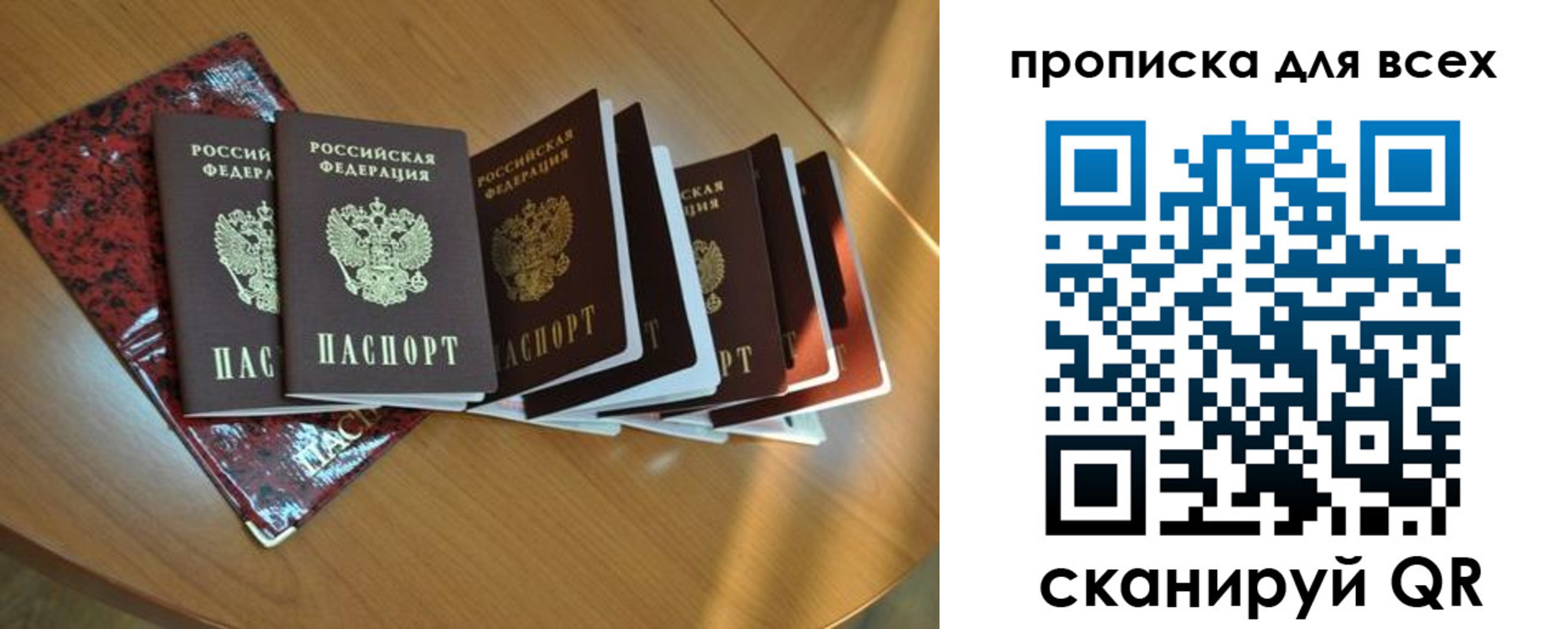 прописка для школы в Данкове
